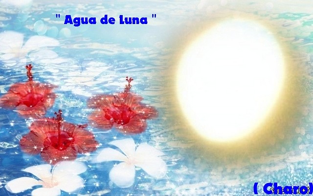 AGUA DE LUNA1