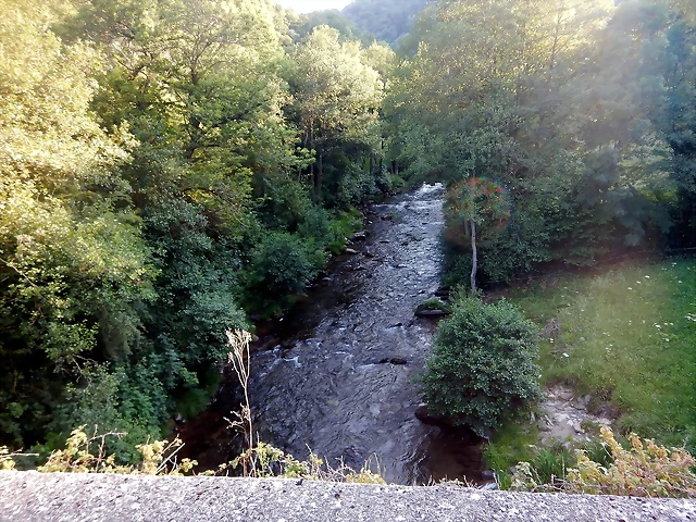 DSCN2462 DSCN2462