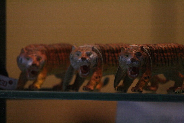 Zoo de Barcelona 07-01-2011 411 Zoo de Barcelona 07-01-2011 411
