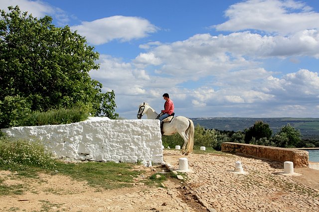 caballista solitario uno