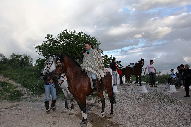 anocheciendo en el rosal