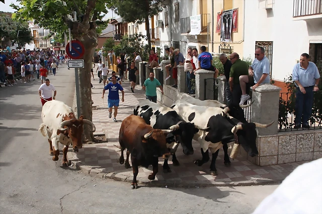 040, encierro 12