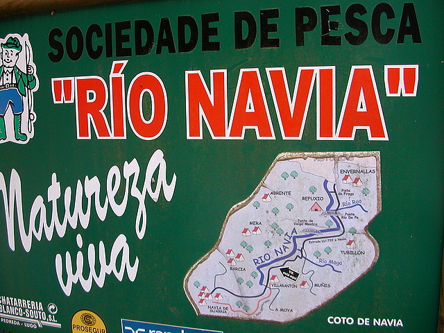 DSCN3167 DSCN3167