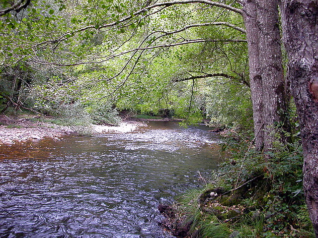 DSCN3172 DSCN3172