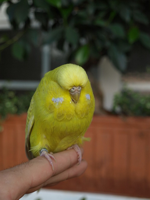 P9250090 P9250090