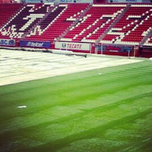 PASTO XOLOS