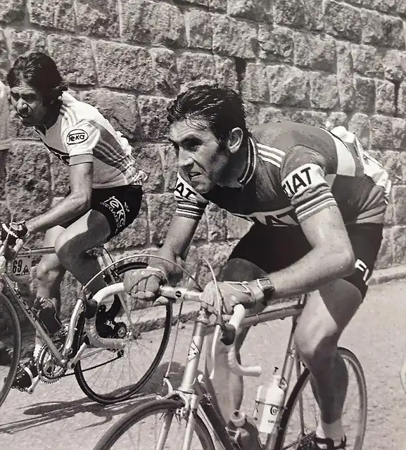 TOUR DE 1977-FERNANDO MENDES-MERCKX