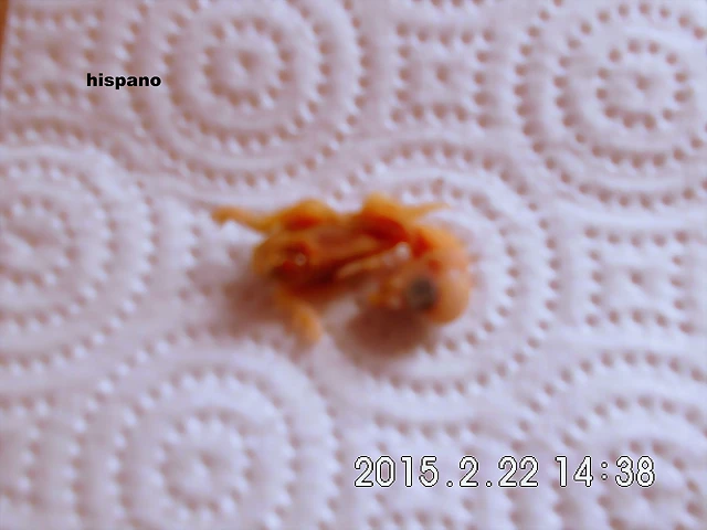 CIMG0815 CIMG0815