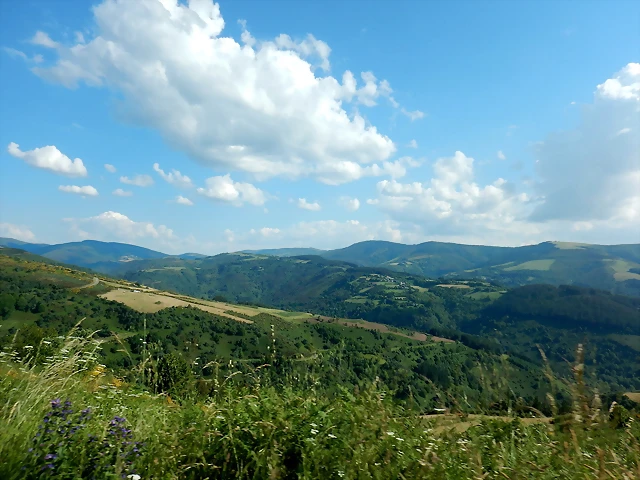 DSCN2380 DSCN2380