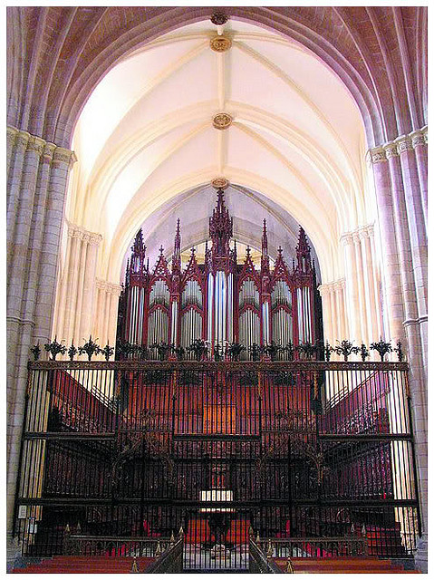 ORG MURCIA ORG MURCIA