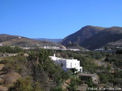 Panormica Grgal