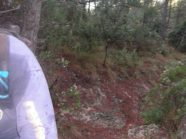 mtb olocau 008 mtb olocau 008