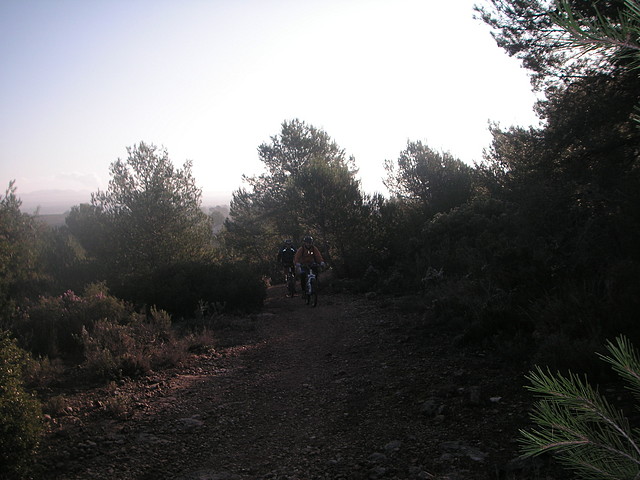 mtb olocau 001