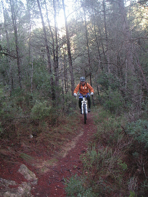 mtb olocau 010 mtb olocau 010