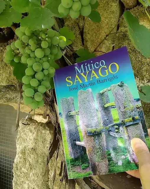 Uvas-Mtico Sayago