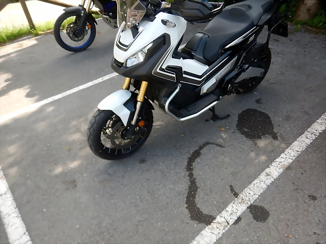 DSCN2540'2 DSCN2540'2
