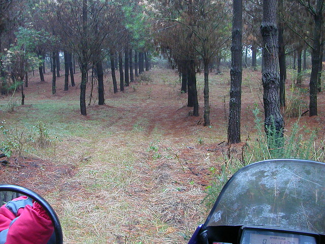 DSCN8418 DSCN8418