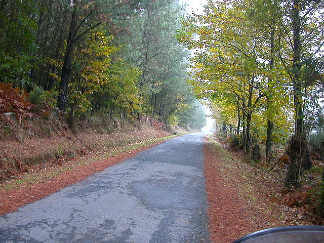 DSCN8422 DSCN8422