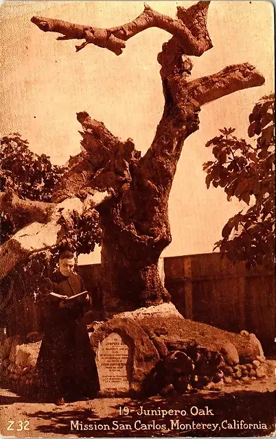 junipero oak postal