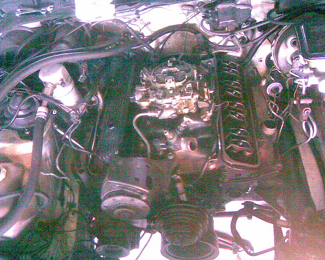 Z28.01 Z28.01