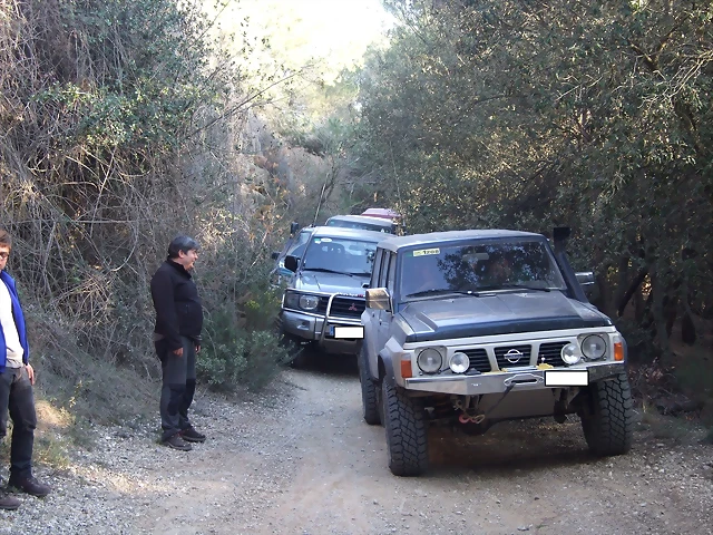grupo 1