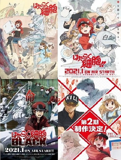 Hataraku Saibou