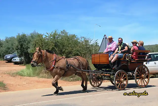 26, en coche de caballos, marca