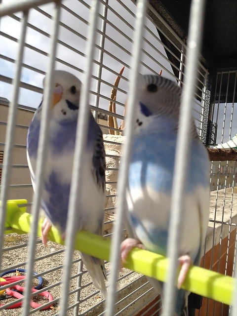 la foto 1 la foto 1