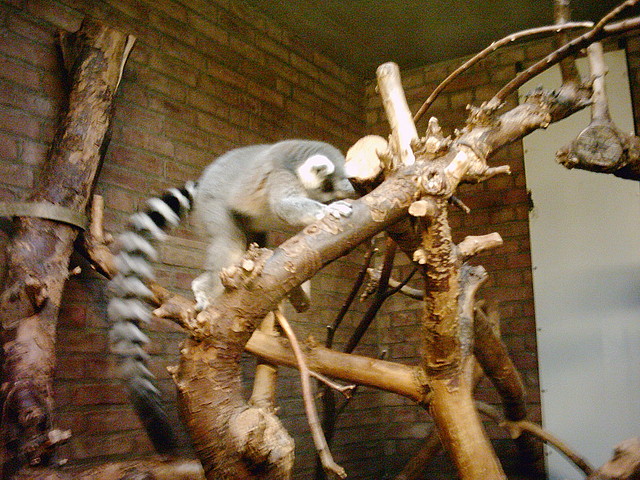 PIC03303 PIC03303