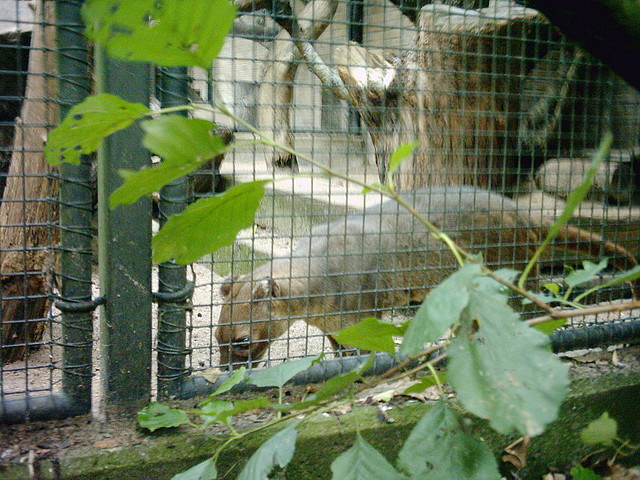 PIC03311 PIC03311