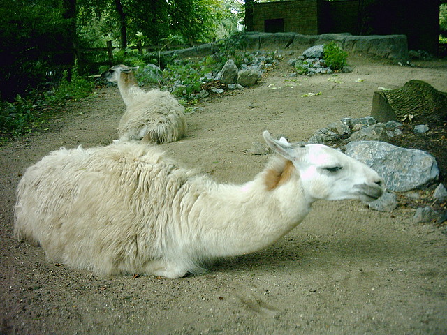 PIC03301 PIC03301
