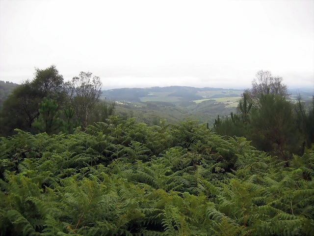 IMG_0228 IMG_0228