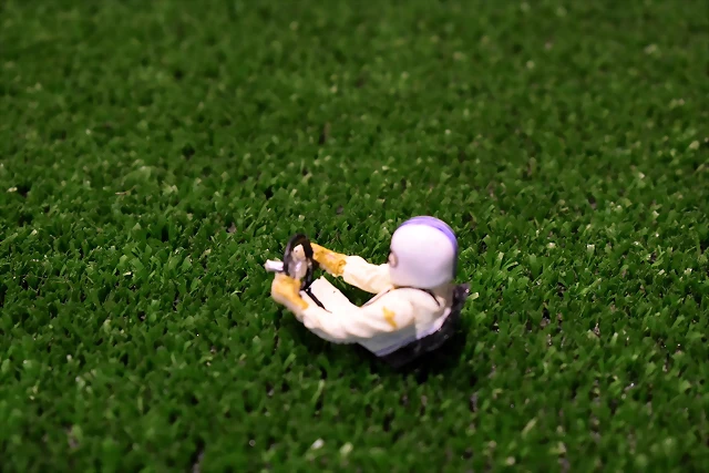 DSC_0958 DSC_0958
