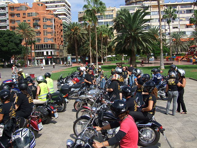 Preparados Preparados
