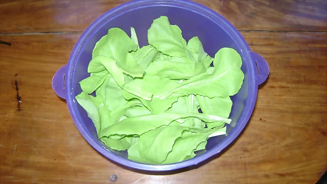 iyc1BLFu5YSTQ iyc1BLFu5YSTQ