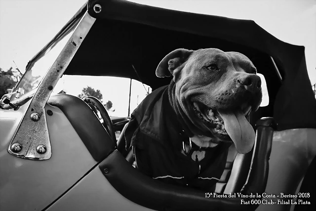 DSC_0099 DSC_0099