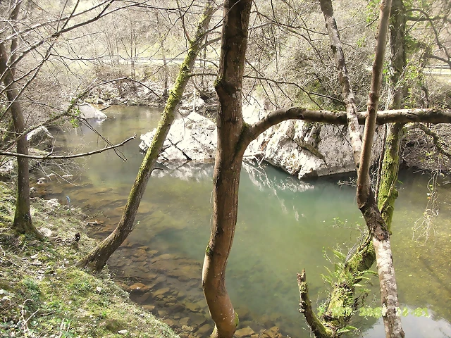 R0012418 R0012418
