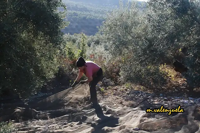 09, clara tirando del mantn, marca