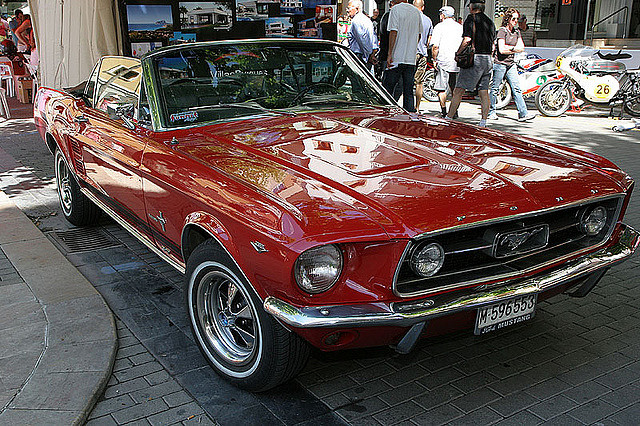 Mustang M-595553