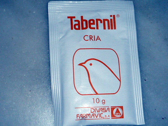 Sobre Tabernil cria Sobre Tabernil cria