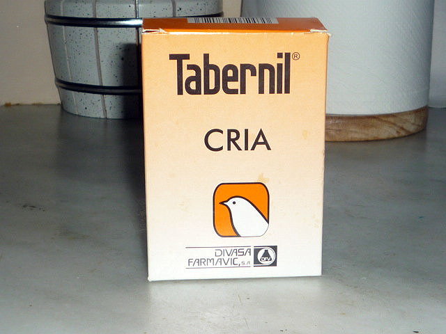 Tabernil cria Tabernil cria