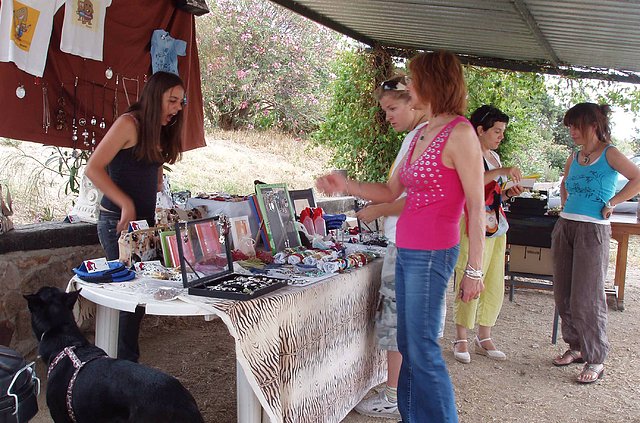 mercadillo1