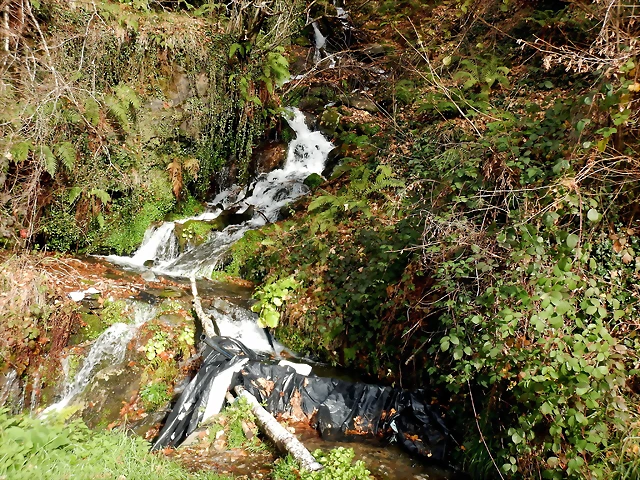 DSCN2126 DSCN2126
