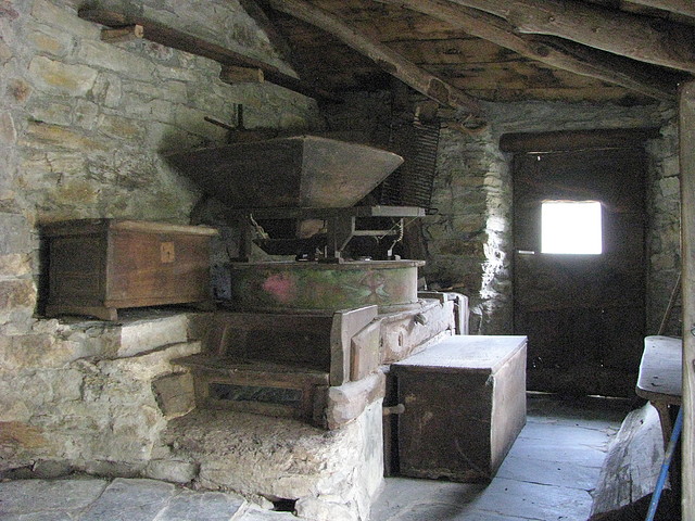 IMG_1832 IMG_1832