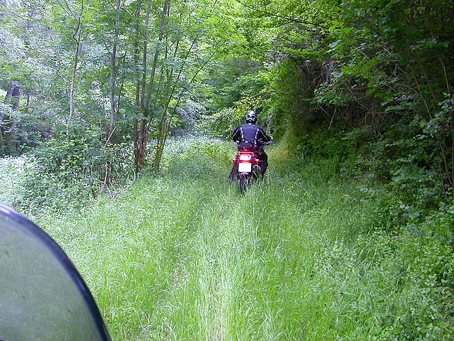 DSCN1998