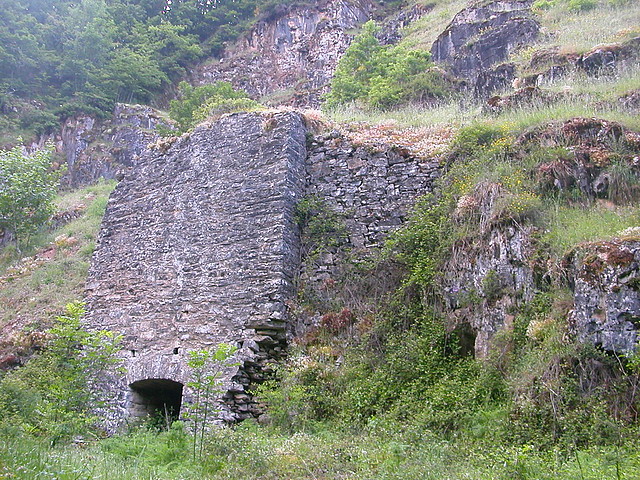 DSCN2000