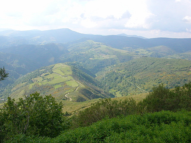 DSCN1937 DSCN1937