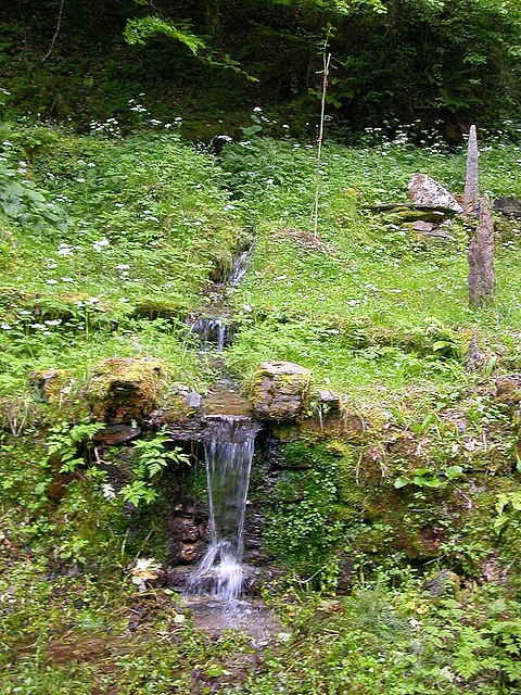 DSCN1965 DSCN1965