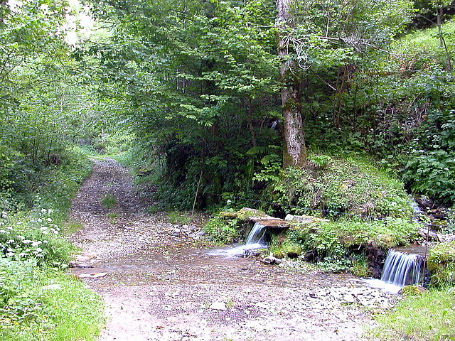 DSCN1960 DSCN1960