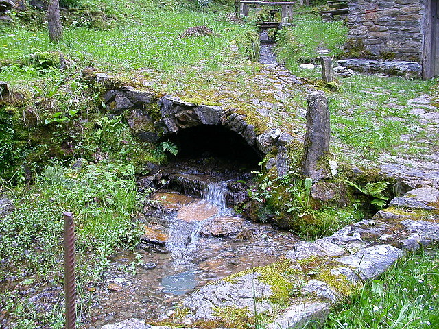 DSCN1967 DSCN1967